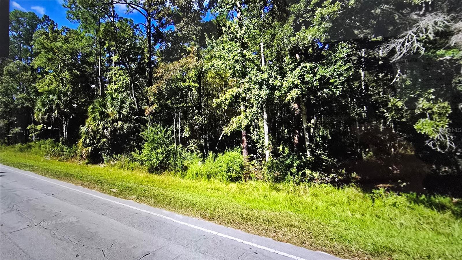 00 E Highway 316 Property Photo 10