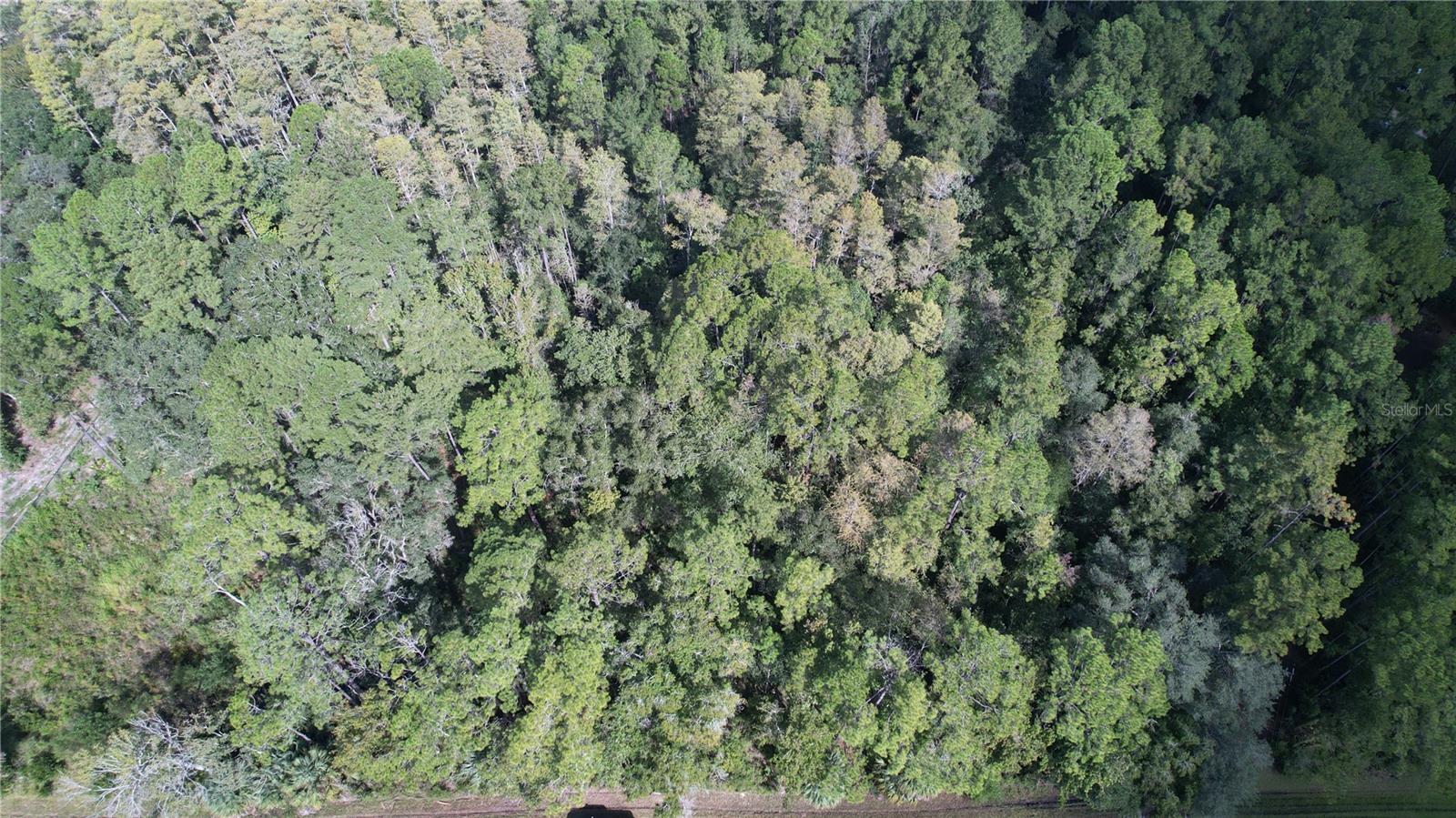 00 E Highway 316 Property Photo 14