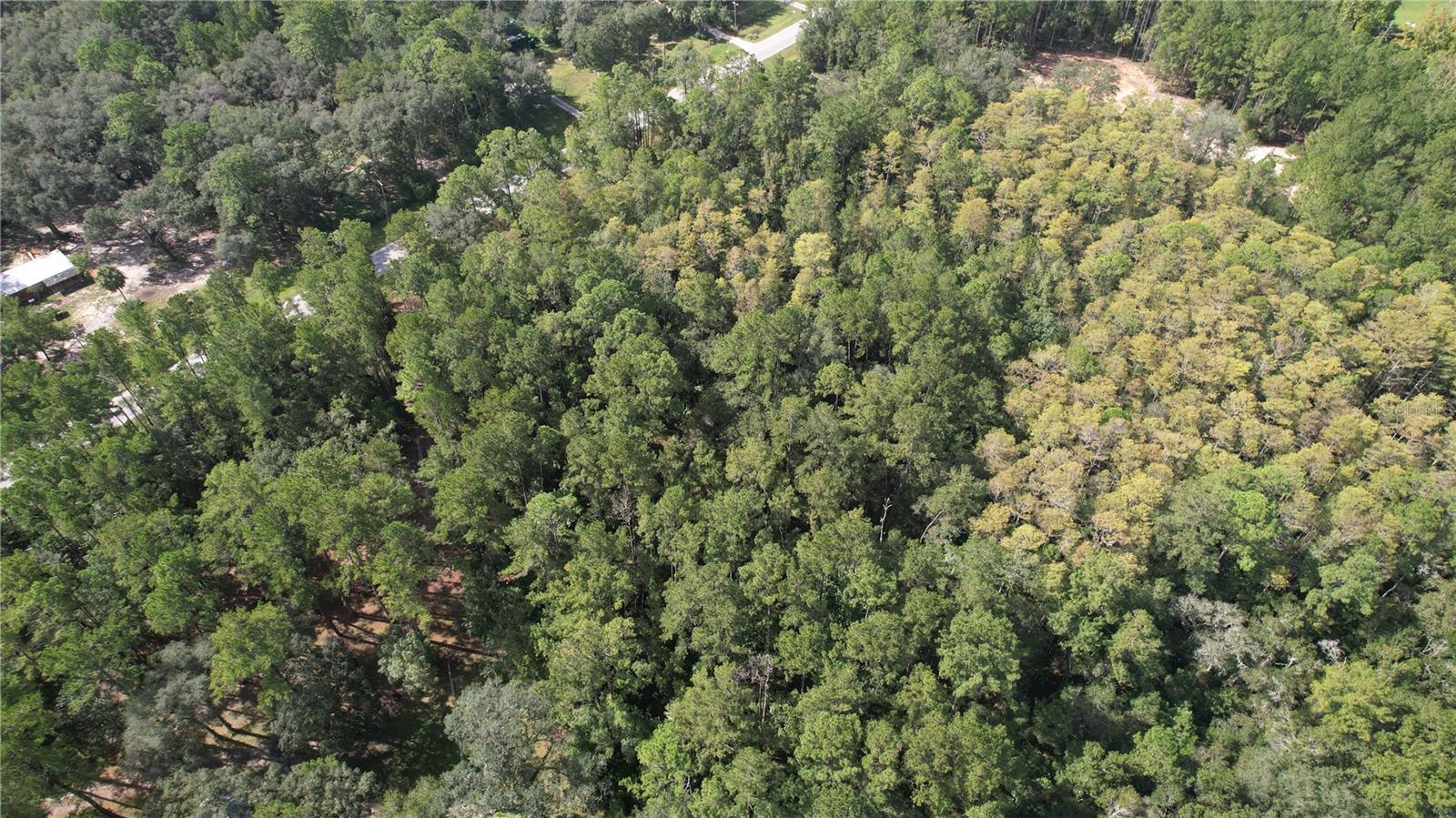 00 E Highway 316 Property Photo 16