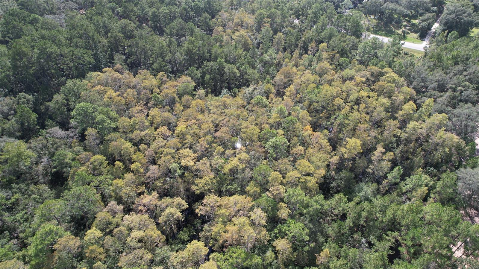 00 E Highway 316 Property Photo 17