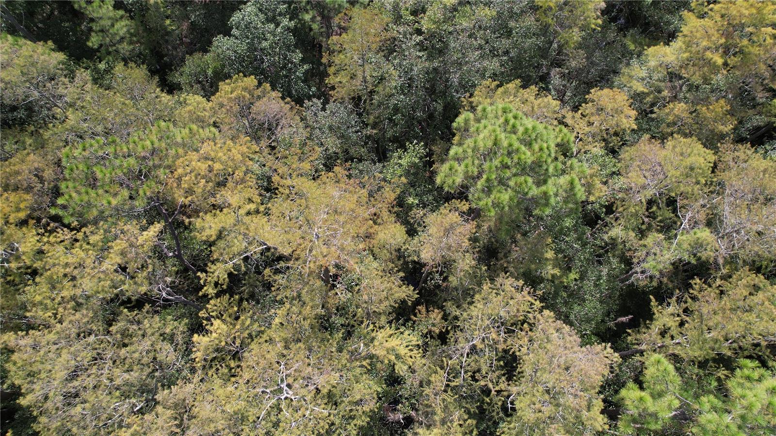 00 E Highway 316 Property Photo 18