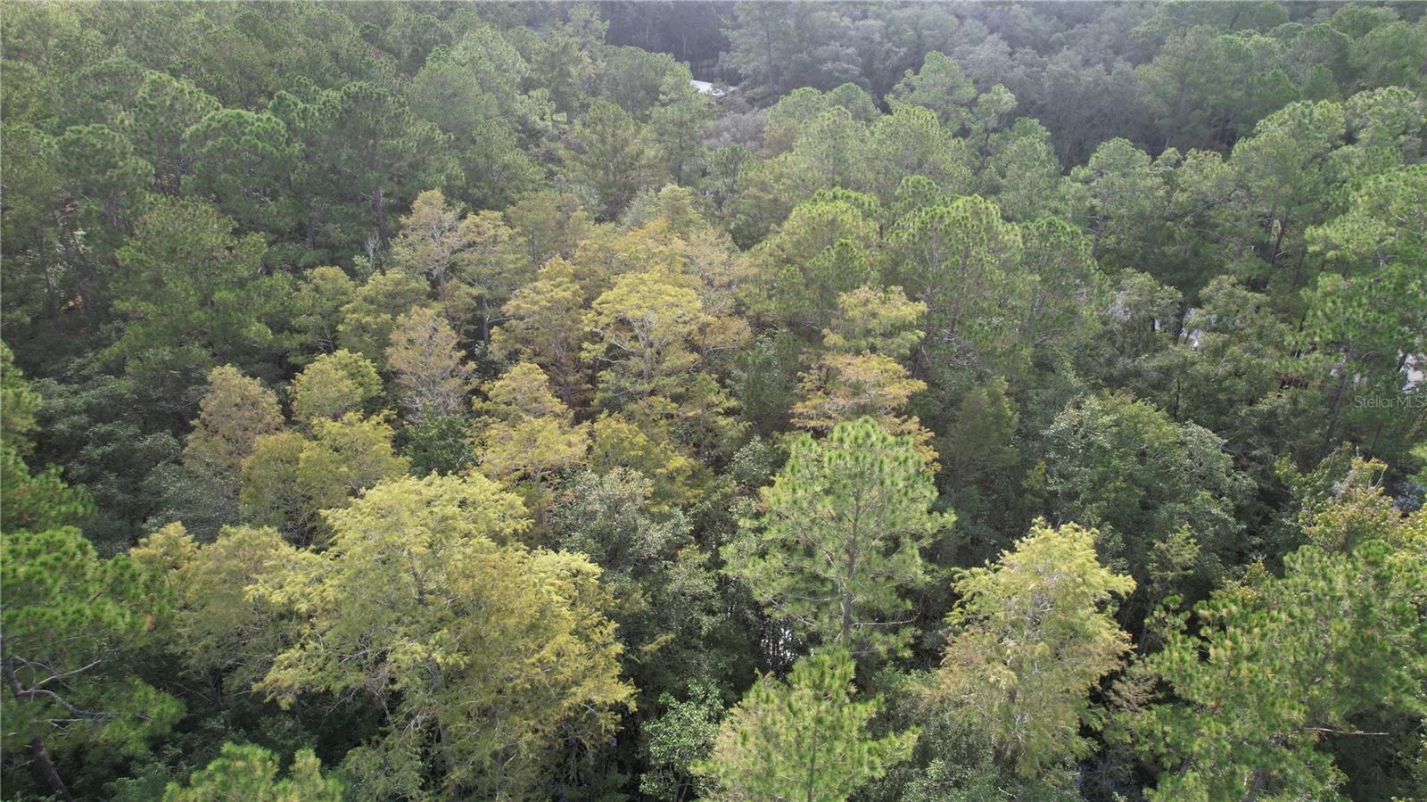 00 E Highway 316 Property Photo 19