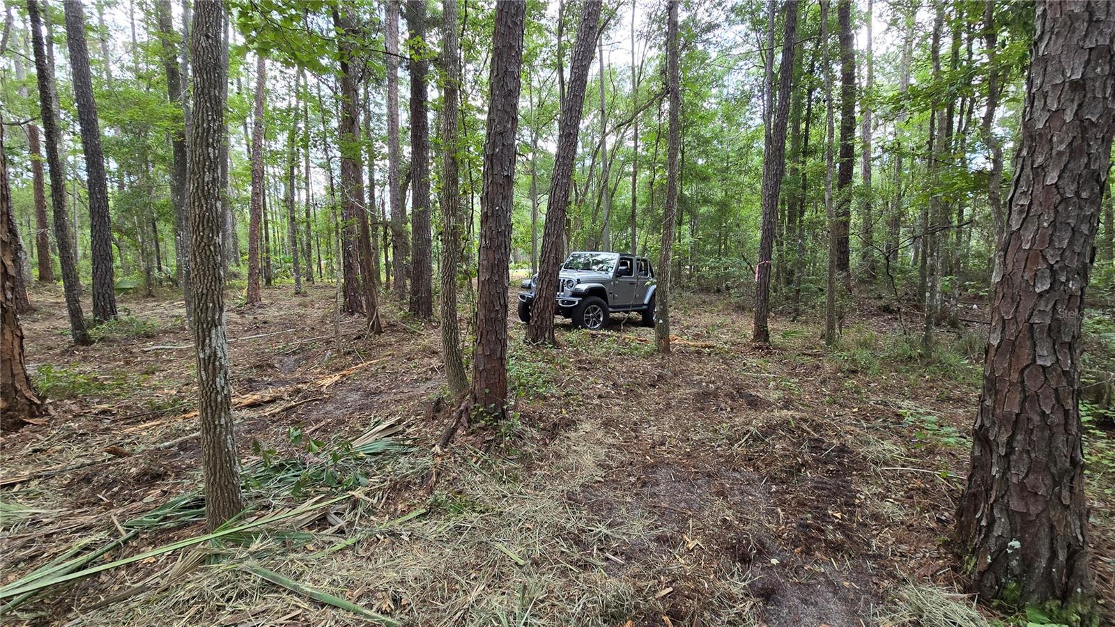 00 E Highway 316 Property Photo 28
