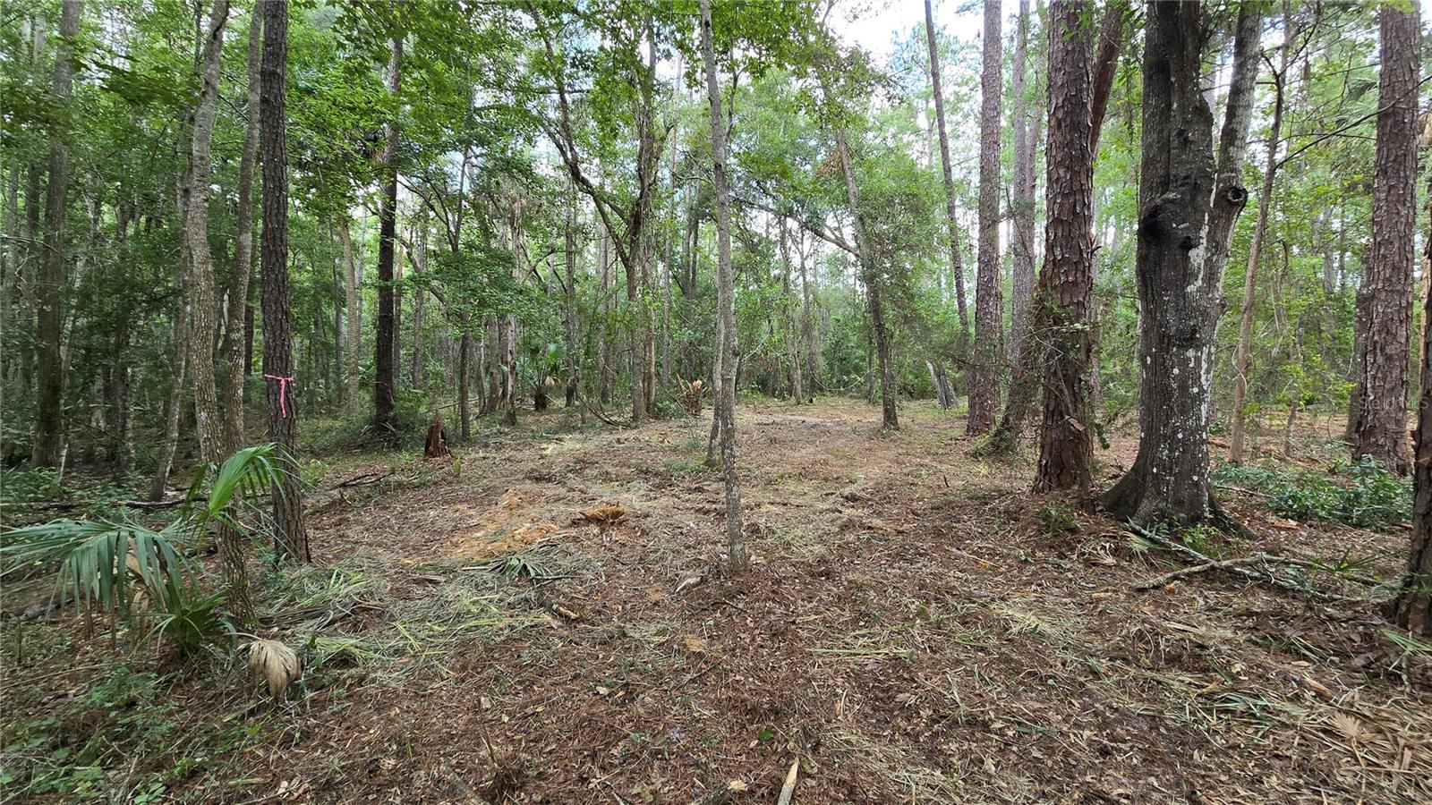 00 E Highway 316 Property Photo 29