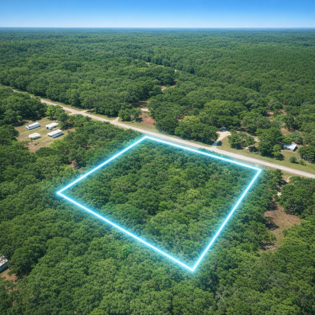 00 E Highway 316 Property Photo 33