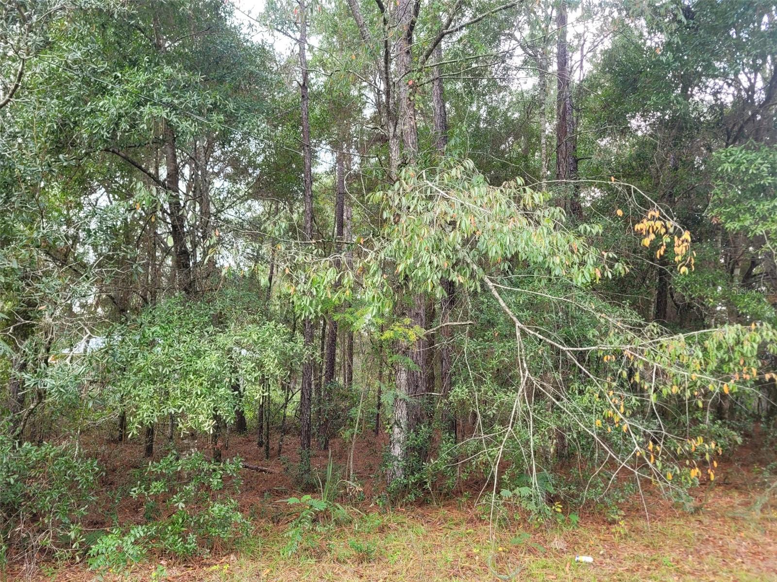 9858 N Jourden Dr Property Photo 3