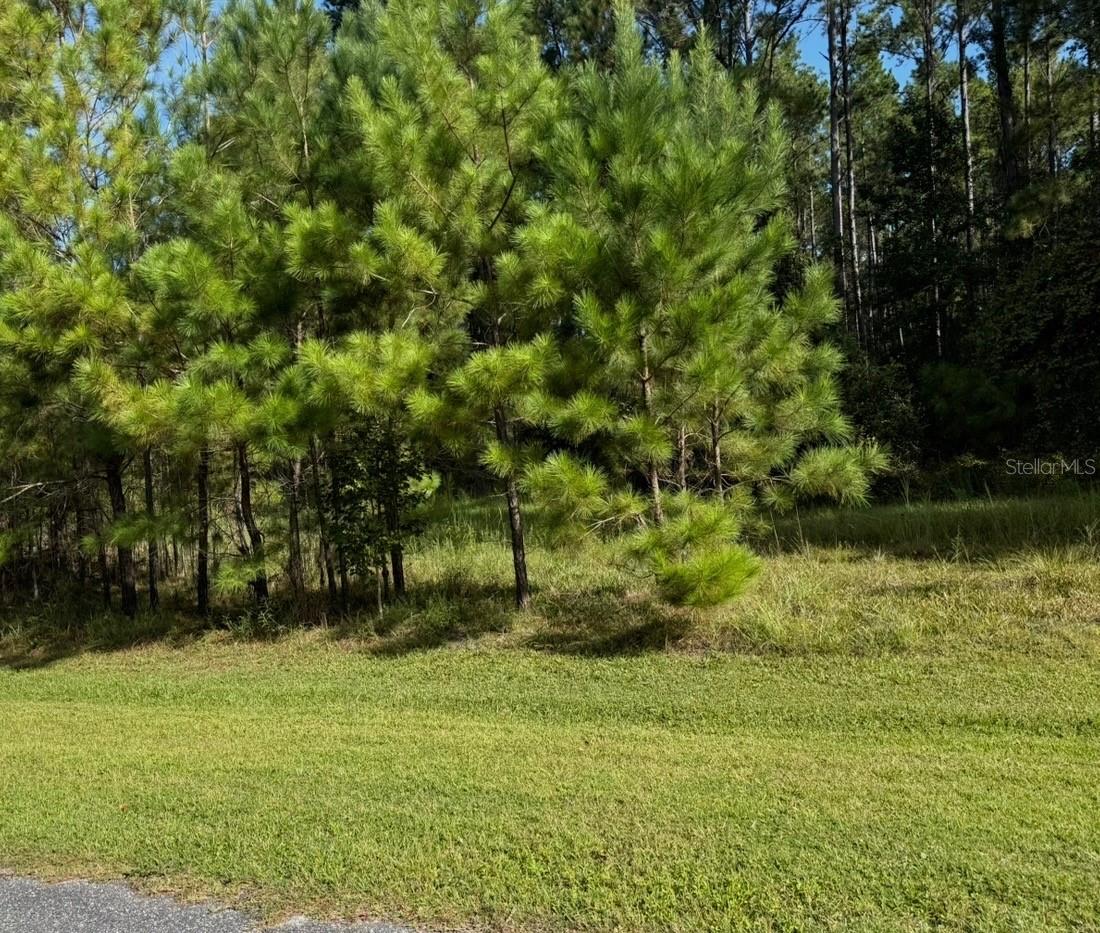 Nw 148th Ln Property Photo 3