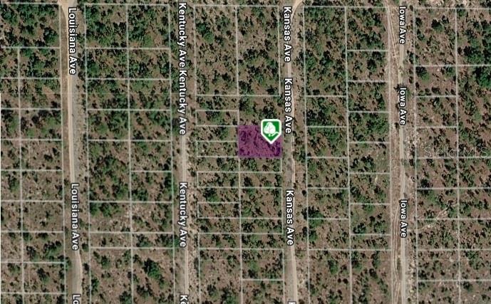 LOT 8 AND 9 KANSAS AVE Property Photo 1