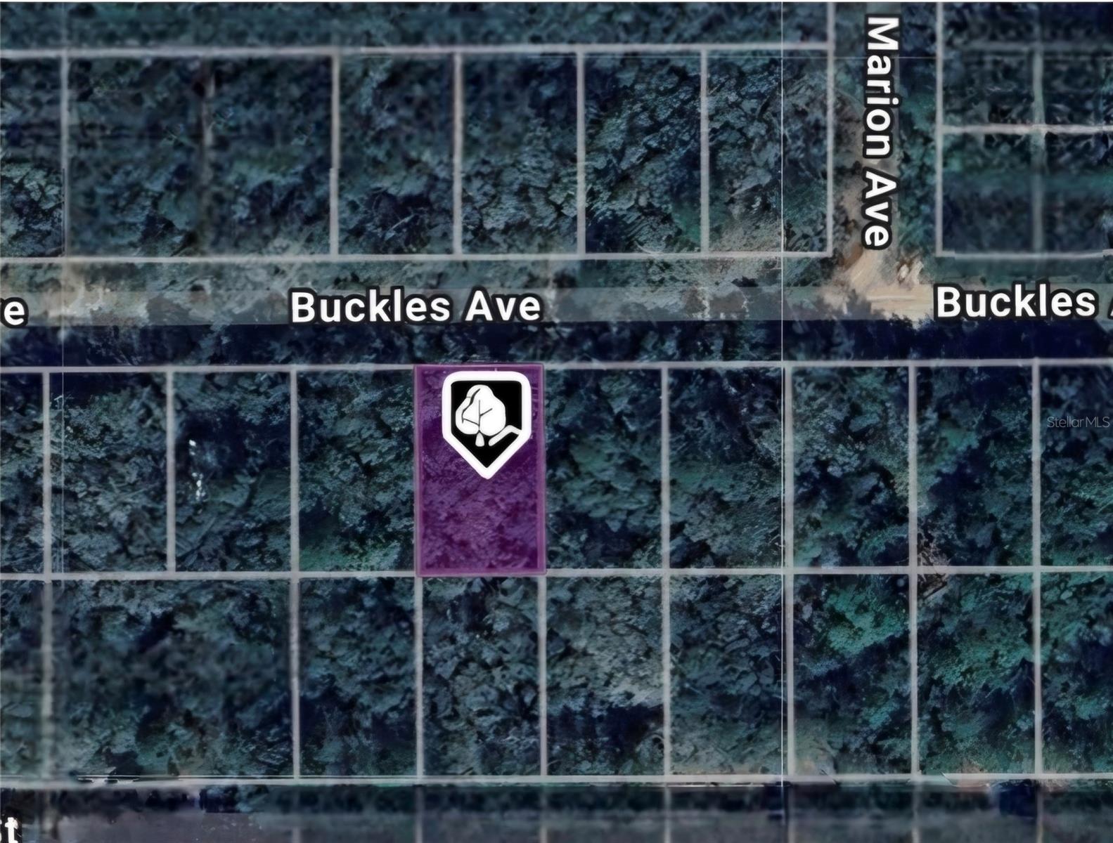 Lot 8 Buckles Ave Property Photo 2