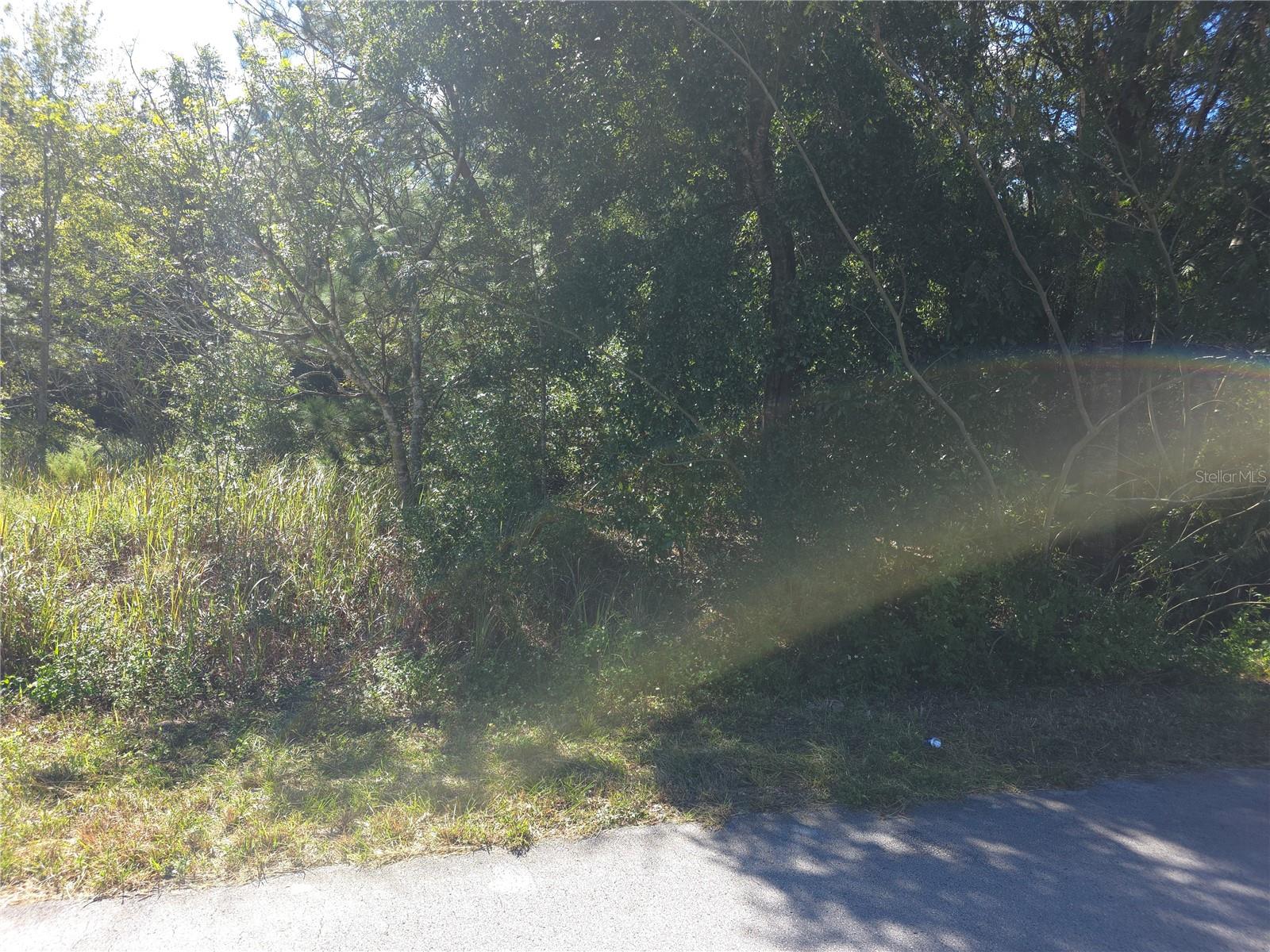 70 JUNIPER PASS Property Photo 1