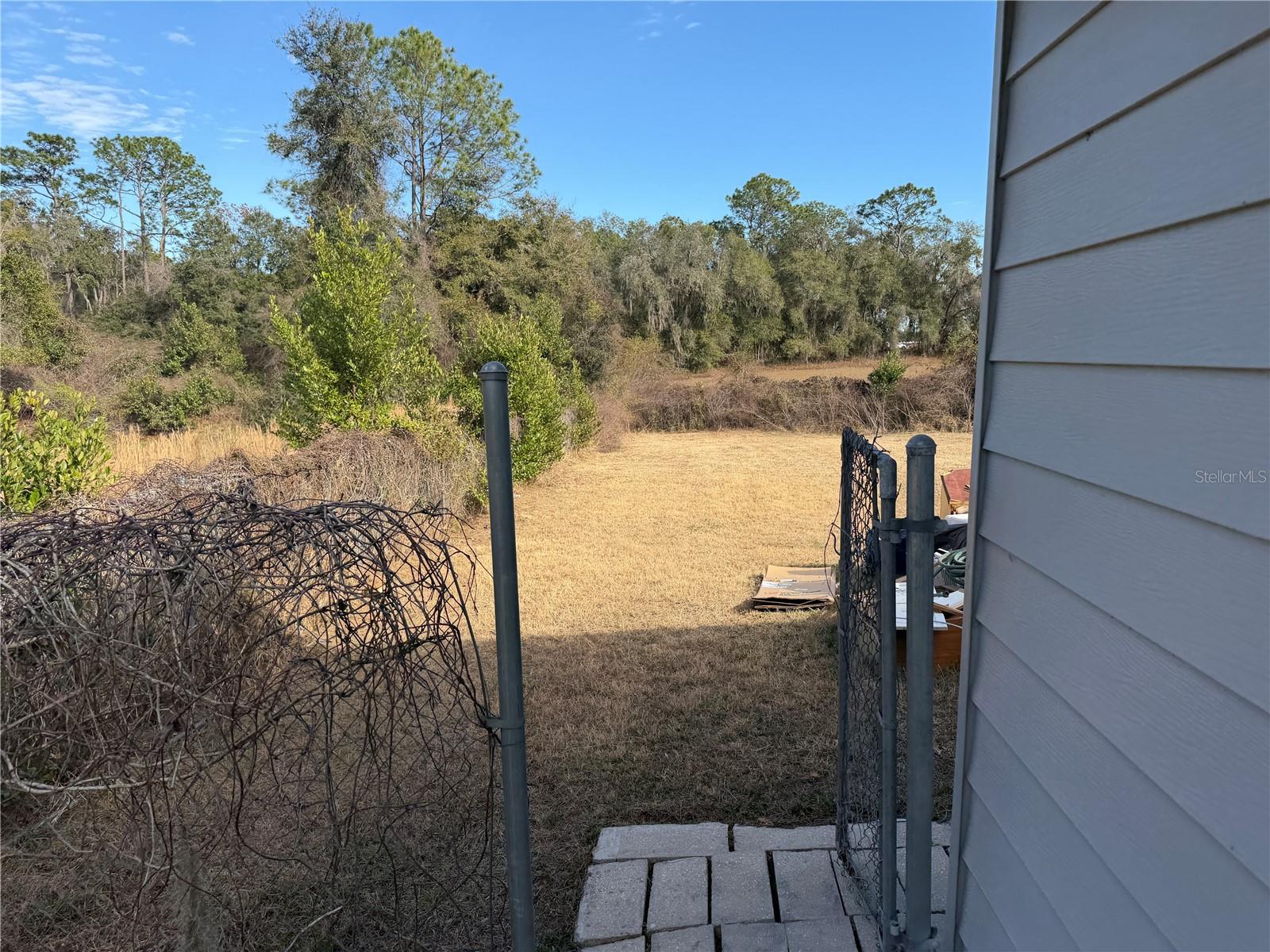 4333 S Rainbow Dr Property Photo 6