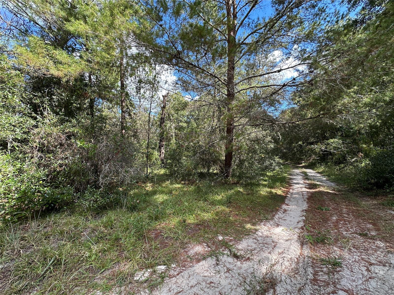 Tbd Ne 138th Ave Property Photo 3