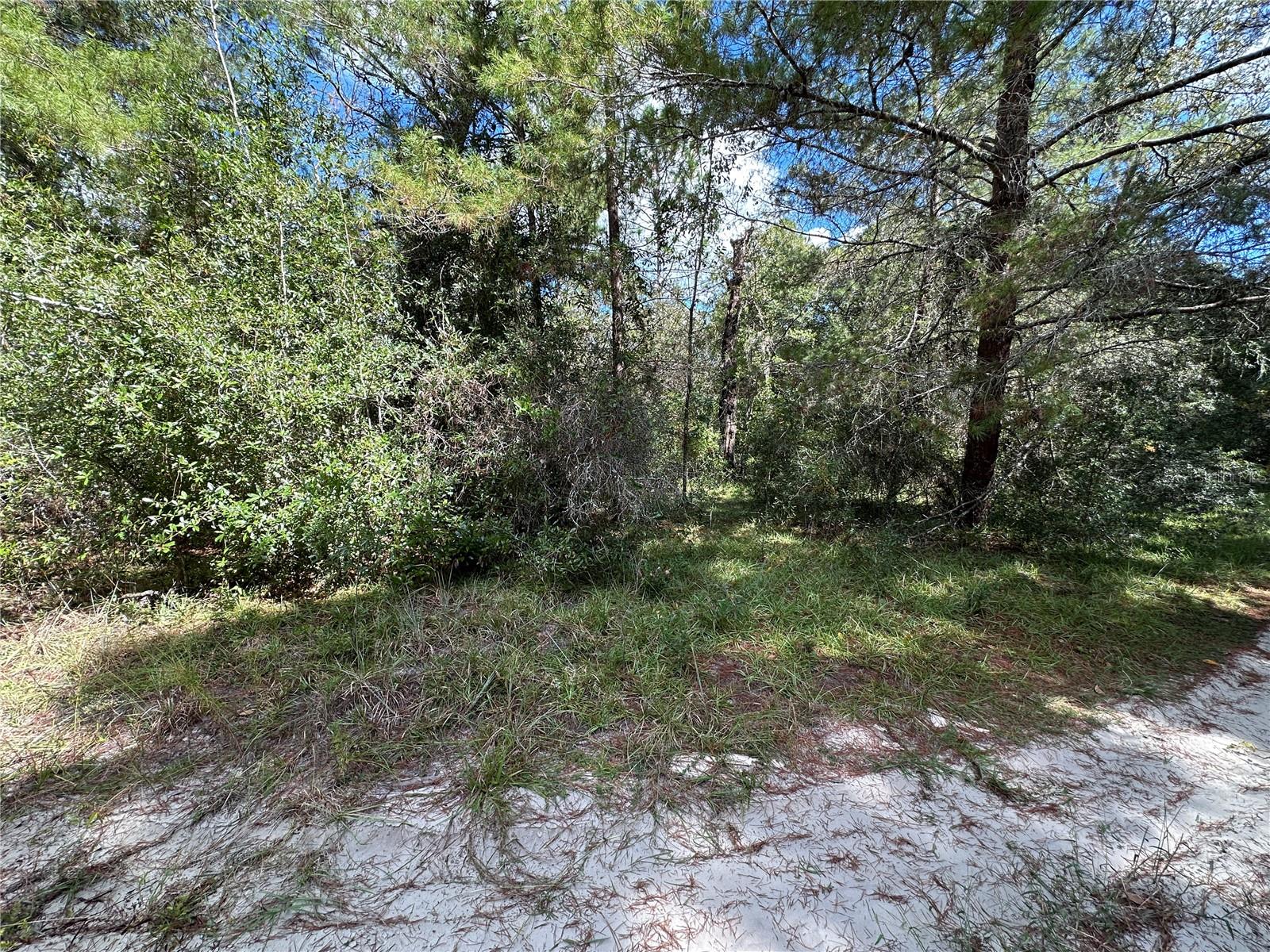 Tbd Ne 138th Ave Property Photo 8