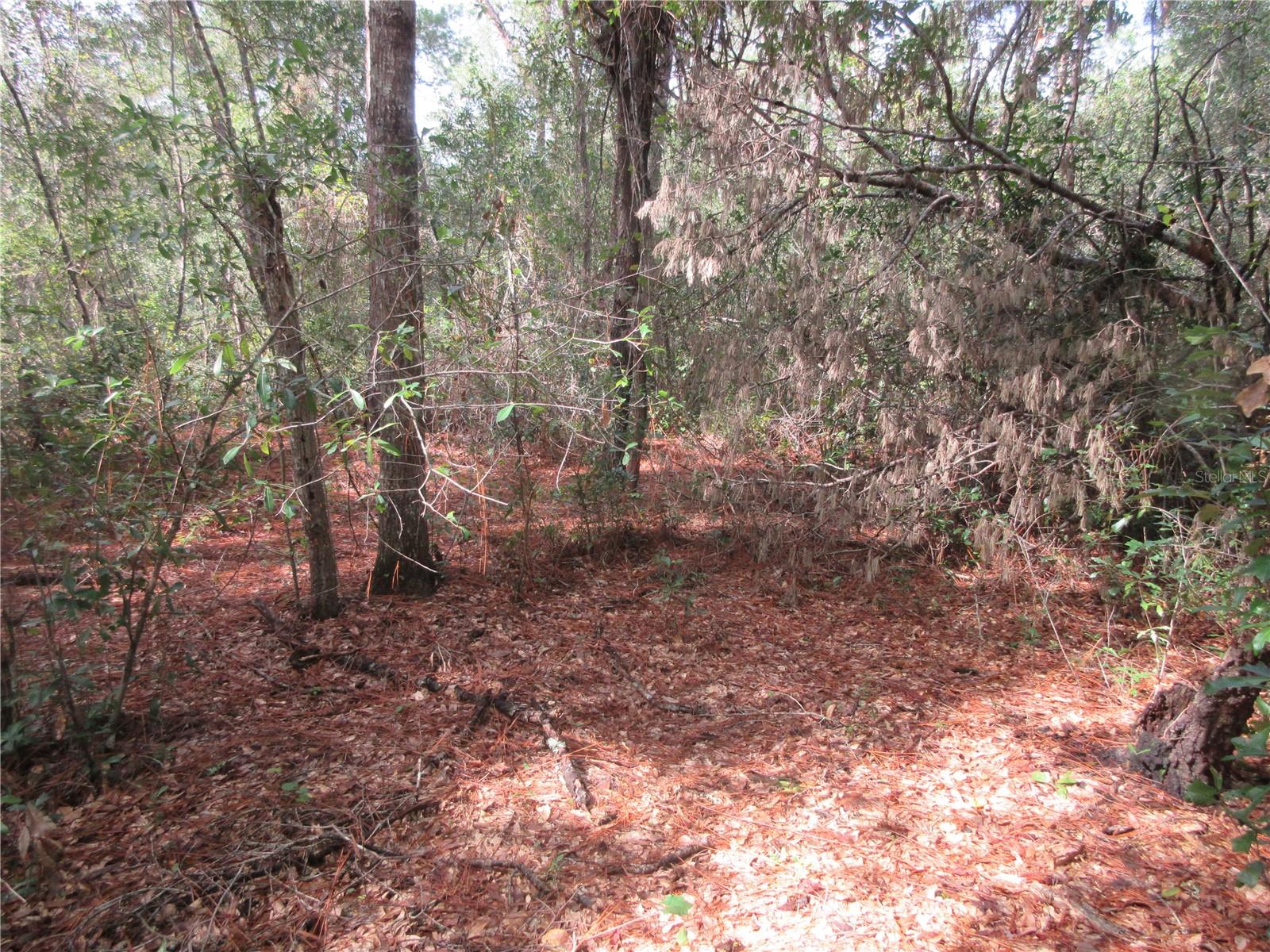 Ne 171st Ct Property Photo 1