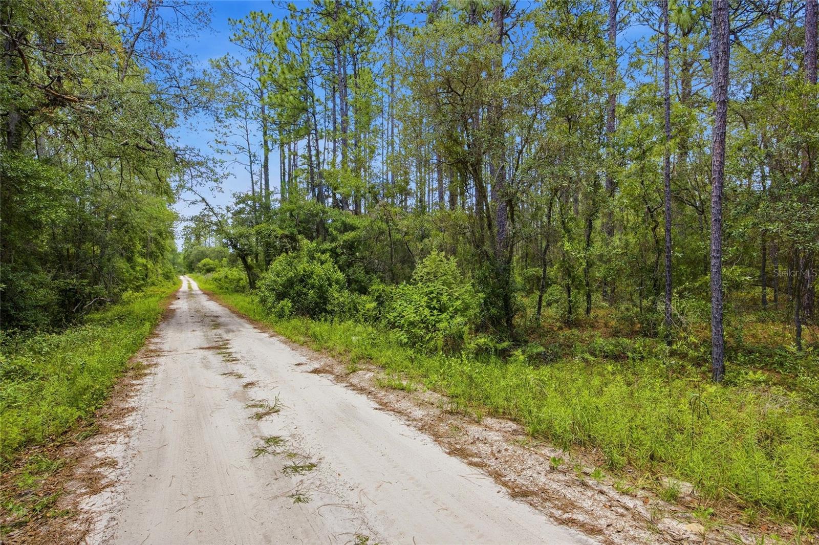 Lot 02 Sw 175th Ter Property Photo 3