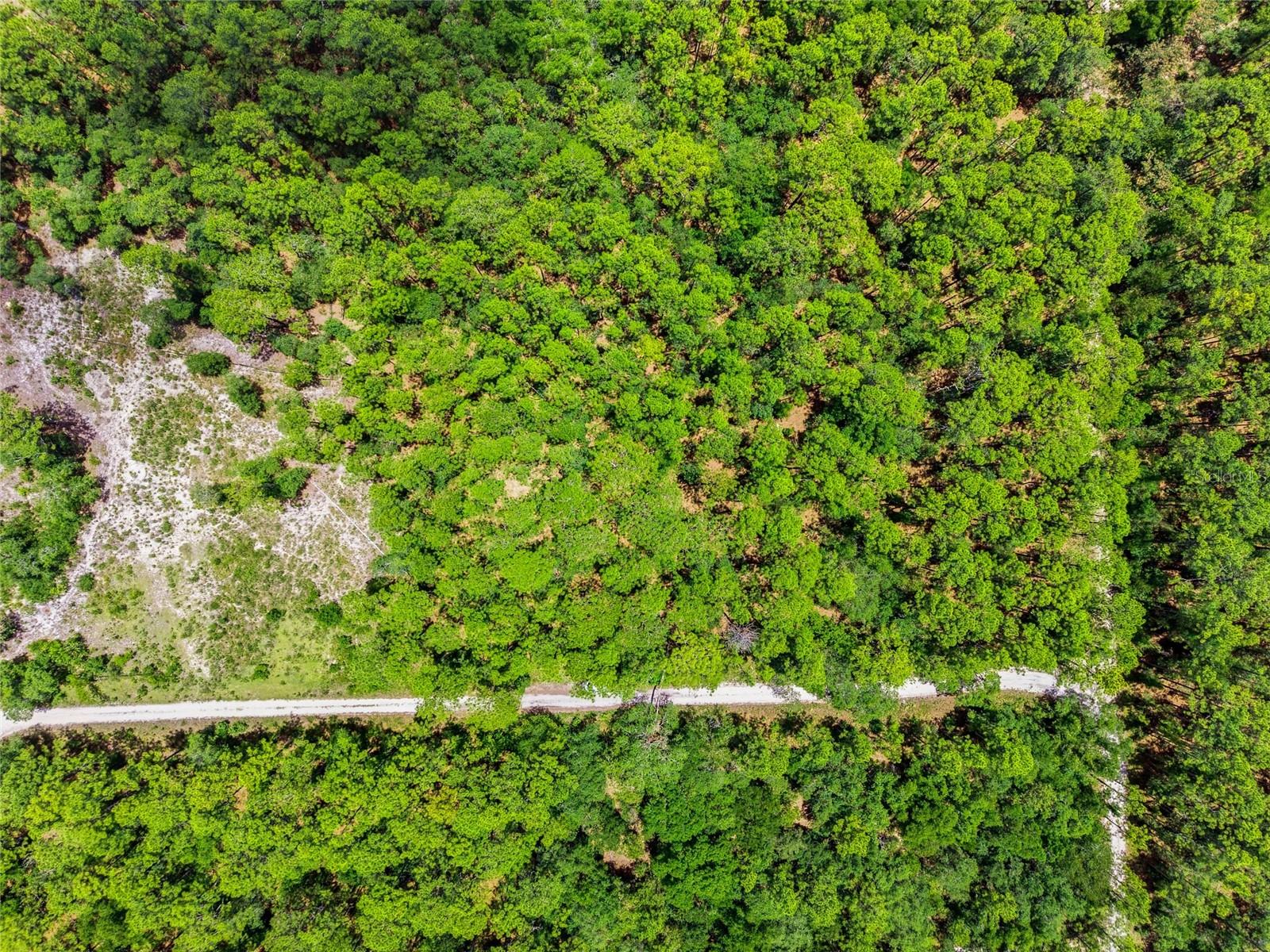 Lot 02 Sw 175th Ter Property Photo 4
