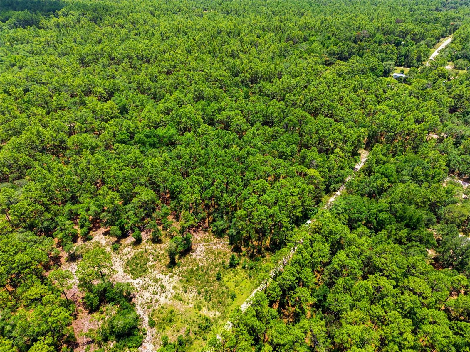 Lot 02 Sw 175th Ter Property Photo 20
