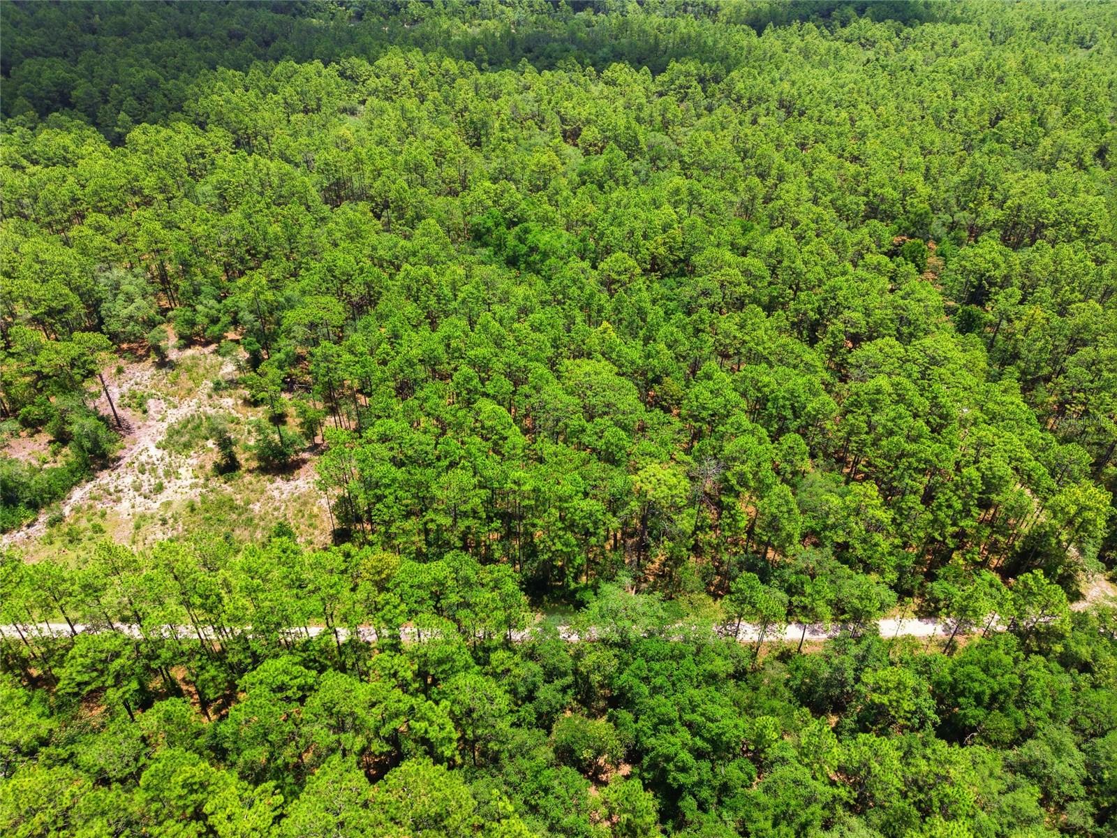 Lot 02 Sw 175th Ter Property Photo 21