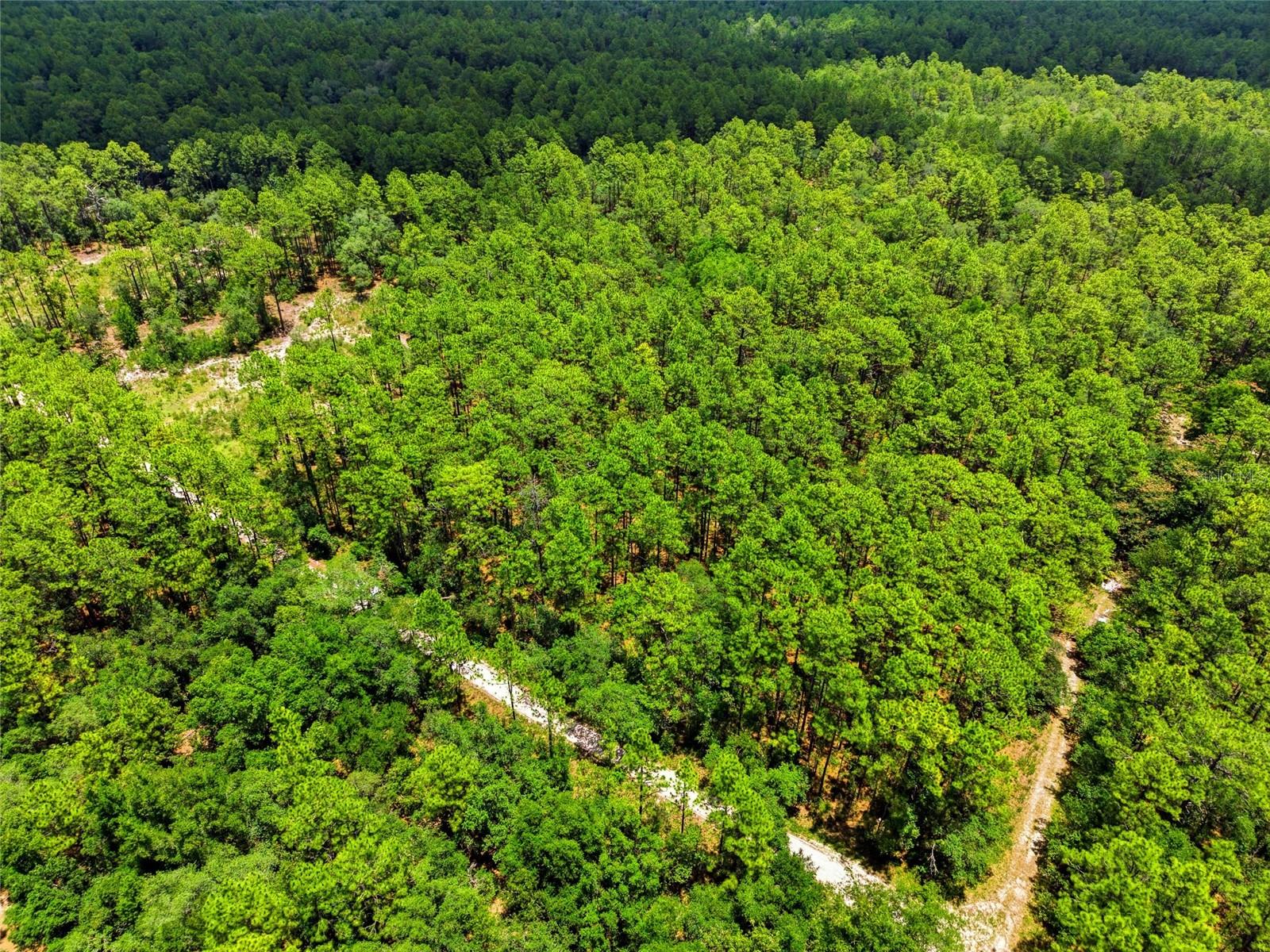 Lot 02 Sw 175th Ter Property Photo 23
