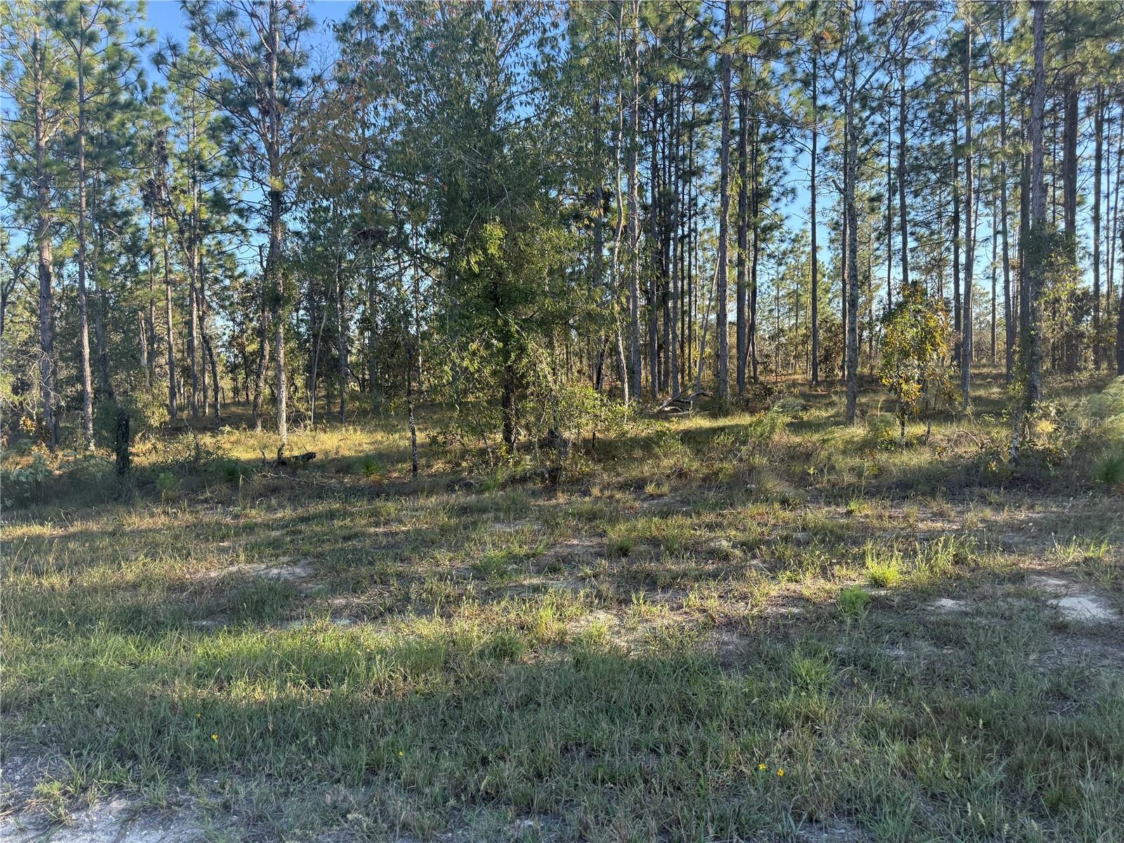 00 Se 73rd Ln Property Photo 11