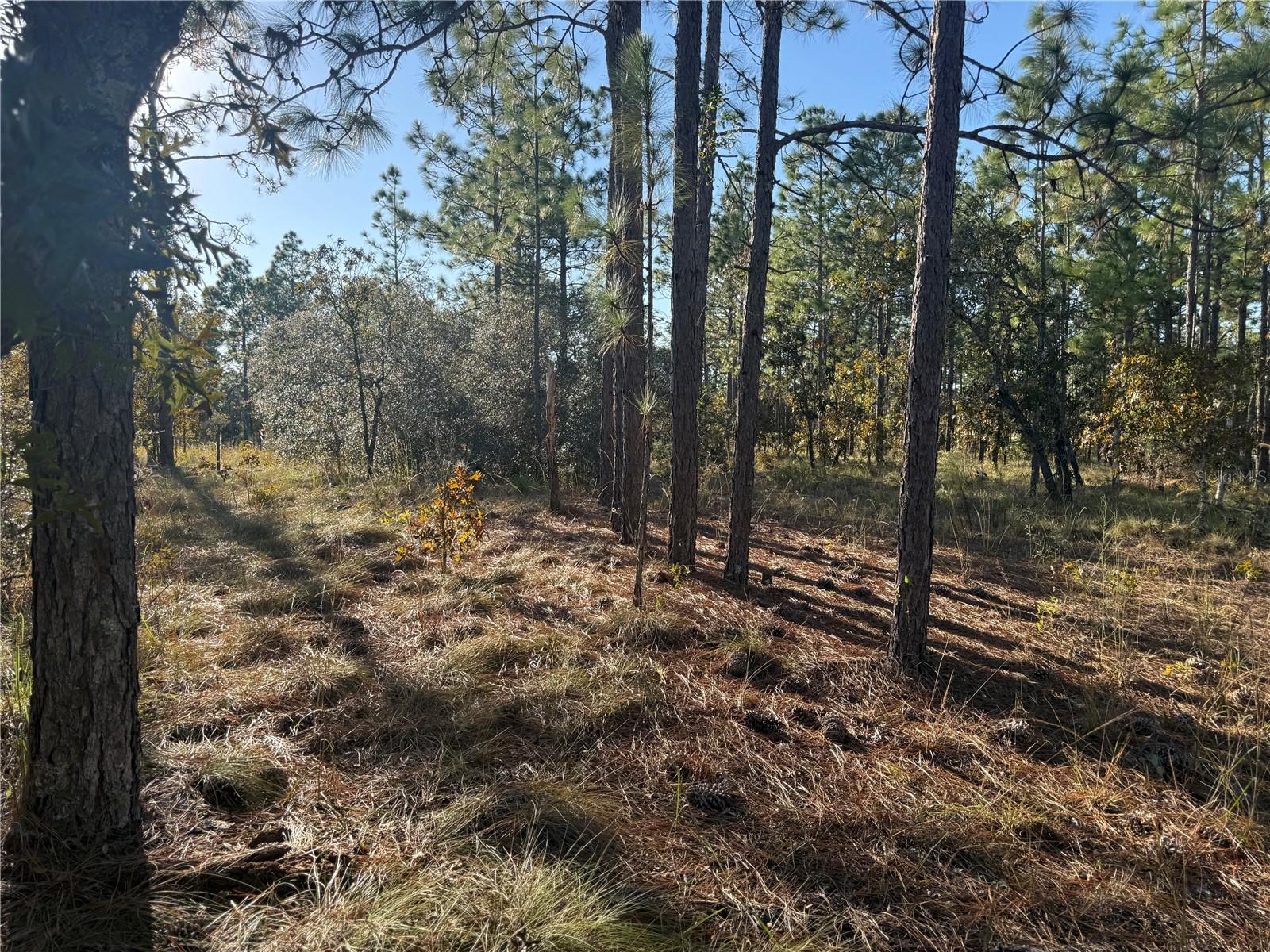 00 Se 73rd Ln Property Photo 12