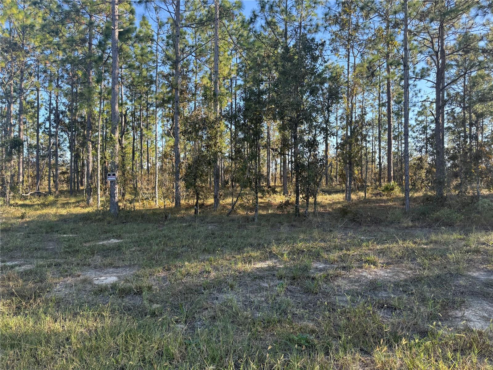 00 Se 73rd Ln Property Photo 21