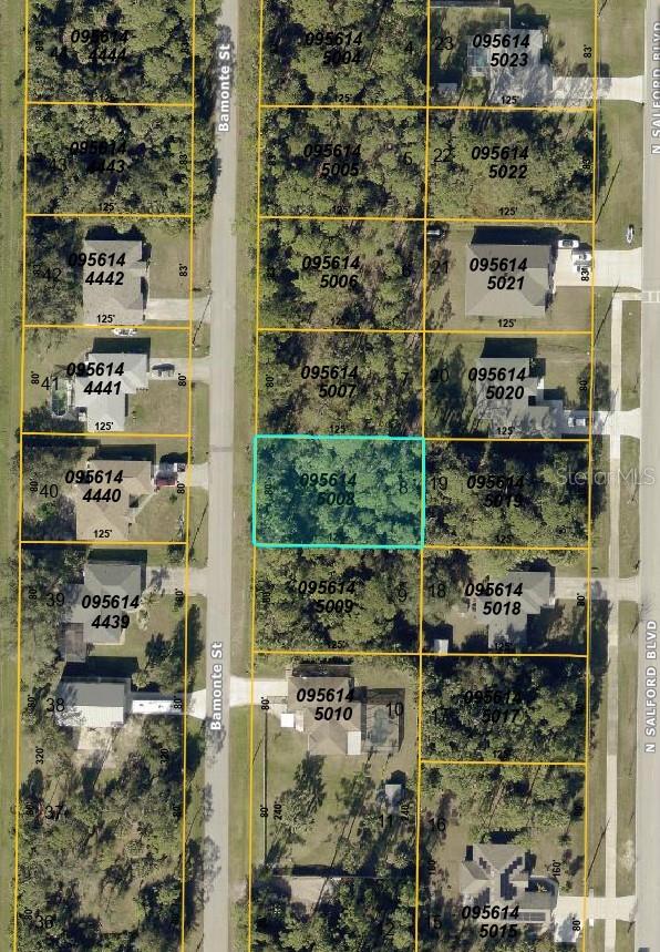 Bamonte St Property Photo 1