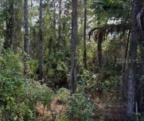 188 TUDOR RD SW Property Photo 1