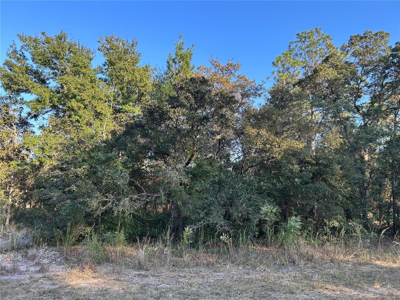 Tbd Ne 148 Ter Property Photo 1