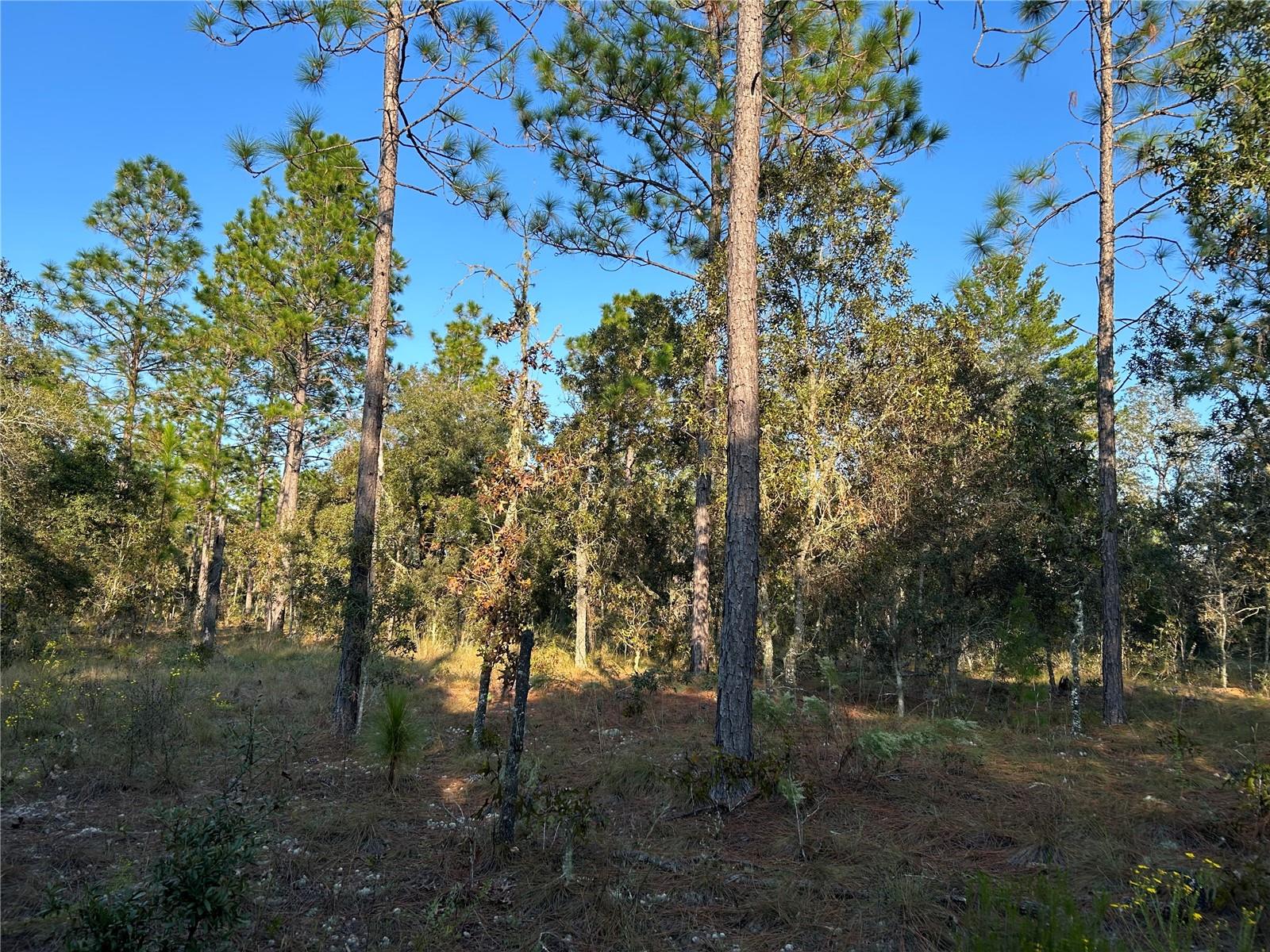 Tbd Ne 148 Ter Property Photo 2