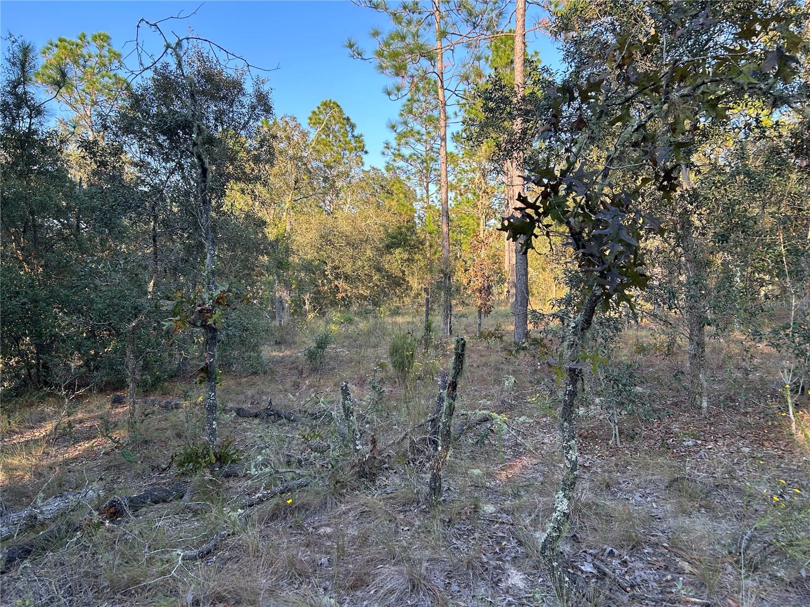 Tbd Ne 148 Ter Property Photo 3