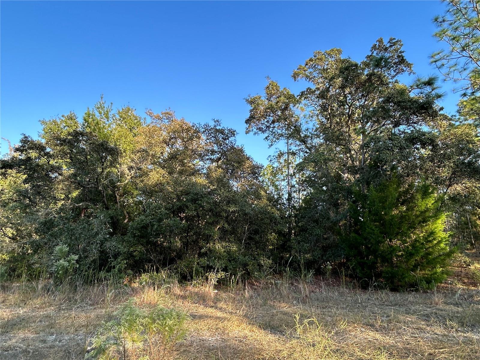 Tbd Ne 148 Ter Property Photo 4