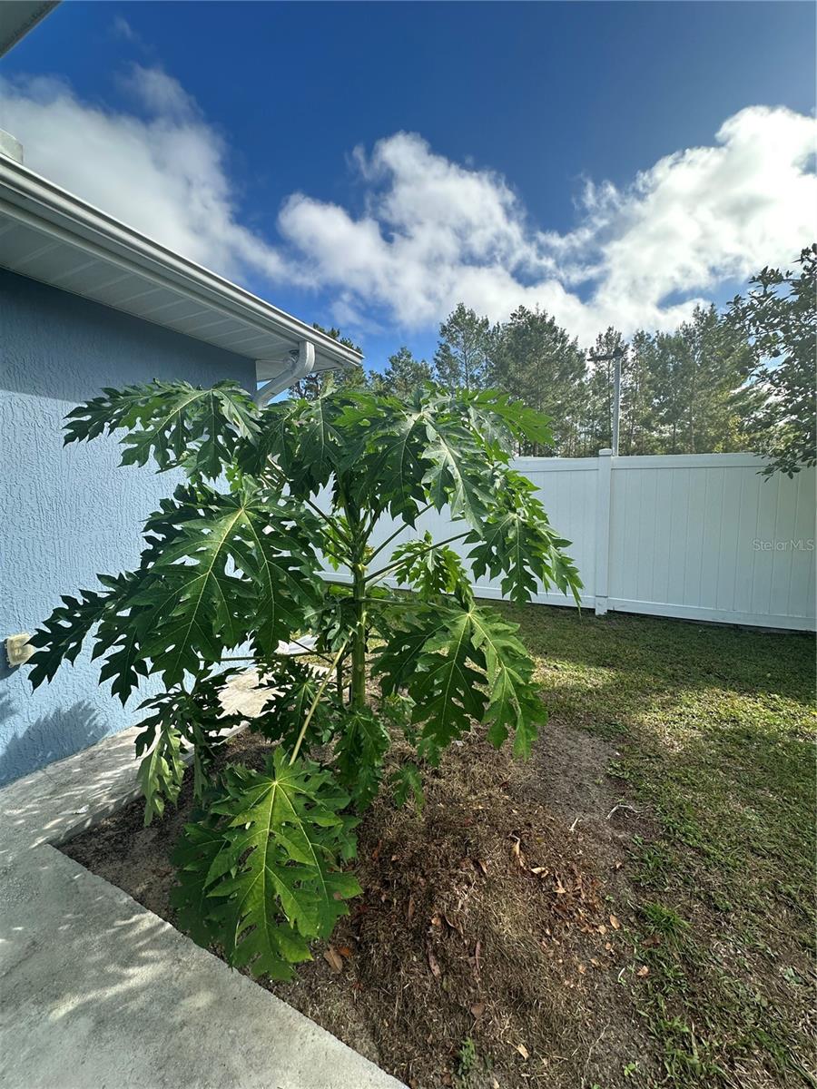 3658 Sw 127th Lane Rd Property Photo 26
