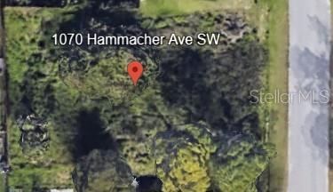 1070 HAMMACHER AVE SW Property Photo 1