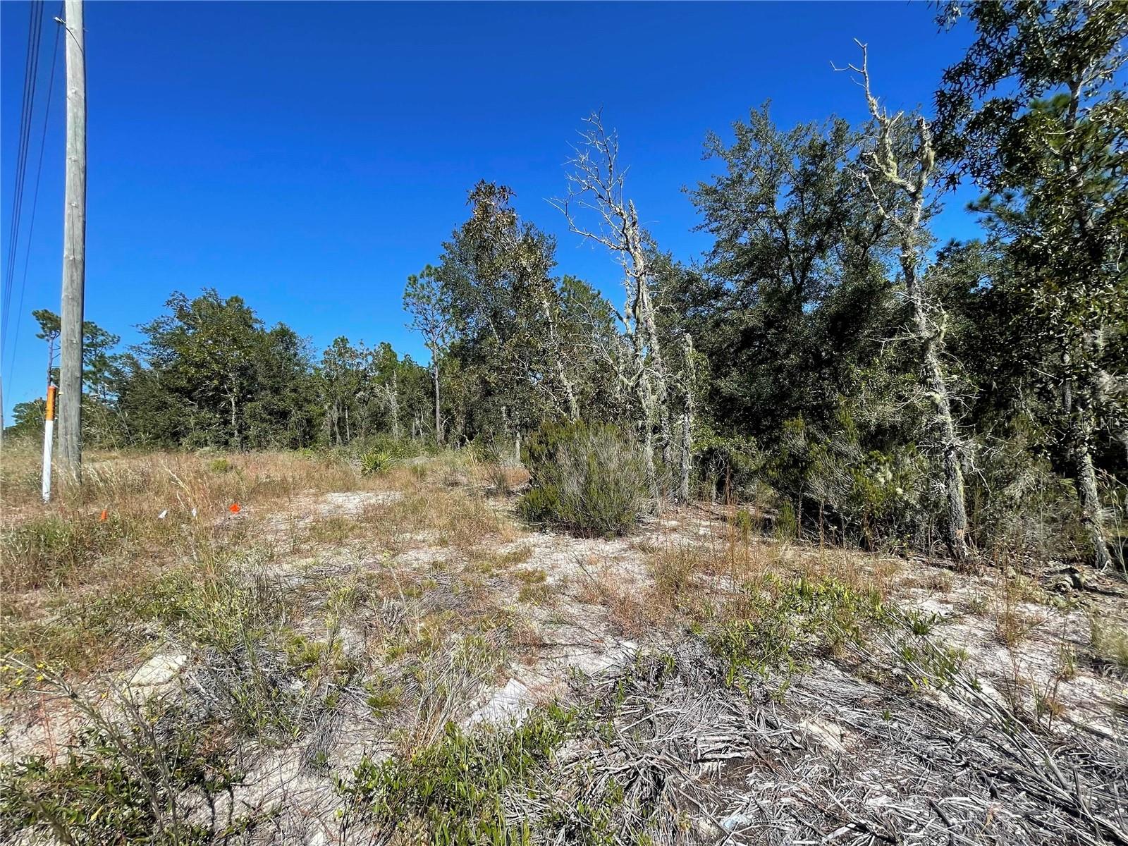 Tbd Ne Highway 27 Alt Property Photo 4