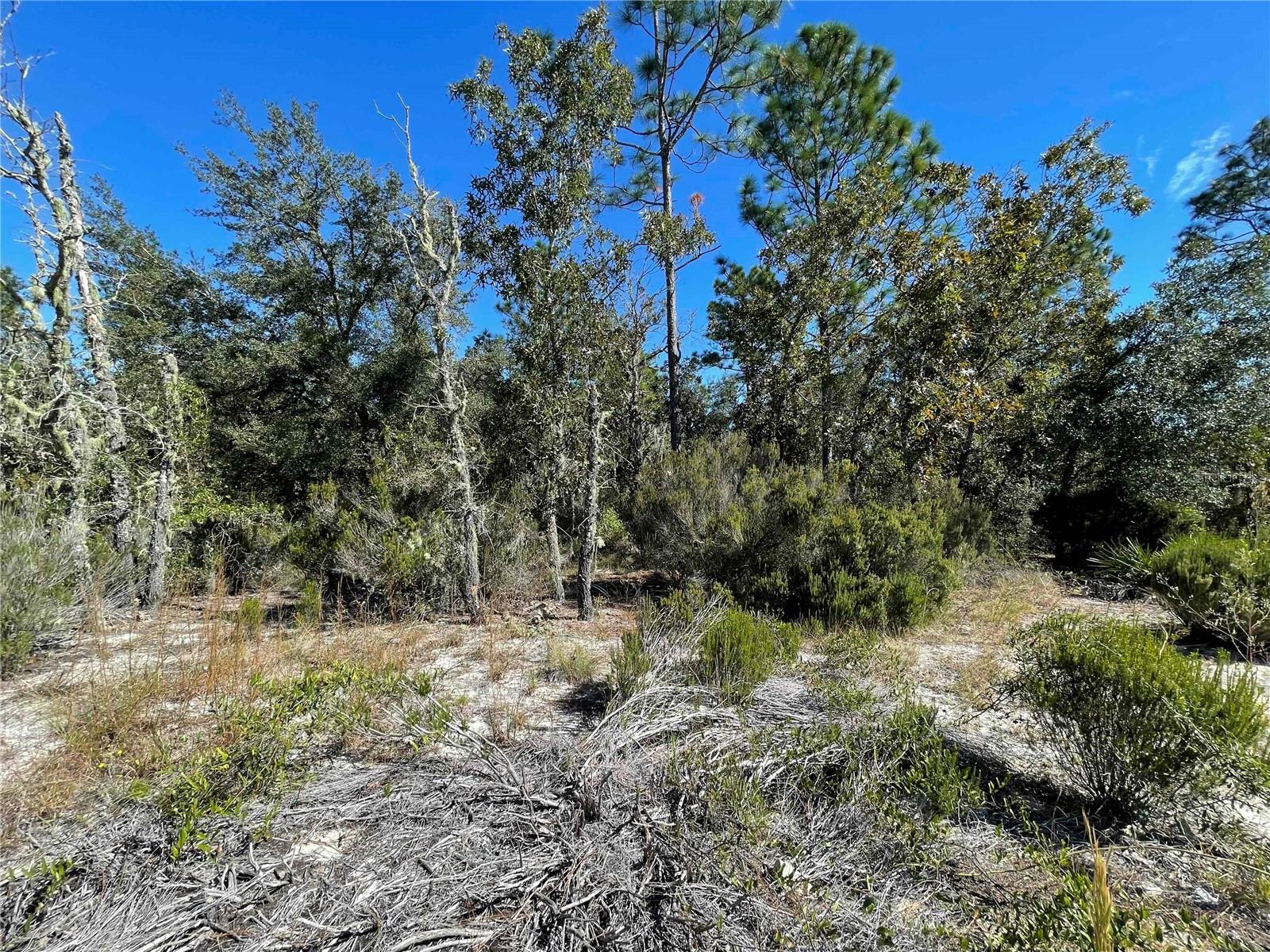 Tbd Ne Highway 27 Alt Property Photo 5