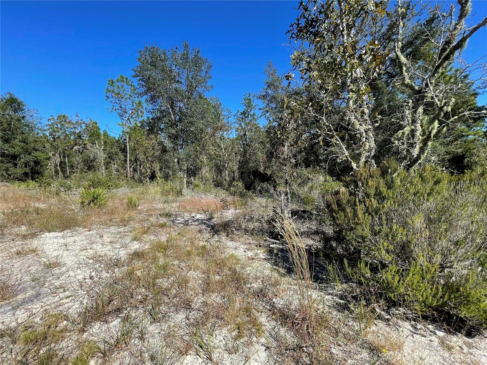 Tbd Ne Highway 27 Alt Property Photo 6
