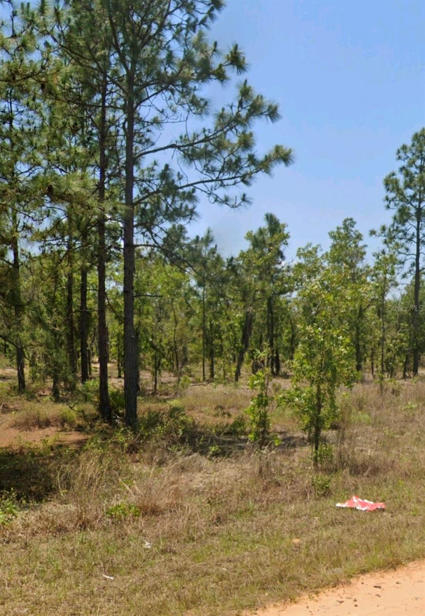 Lot 14 15 16 And 17 Idaho Ave Property Photo 1