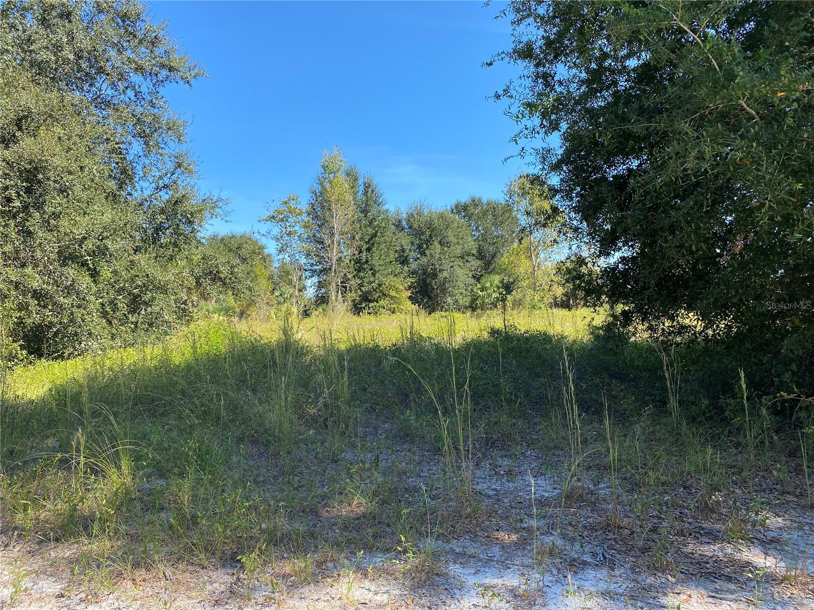 Xxxx Ne 3rd Ct Property Photo 1