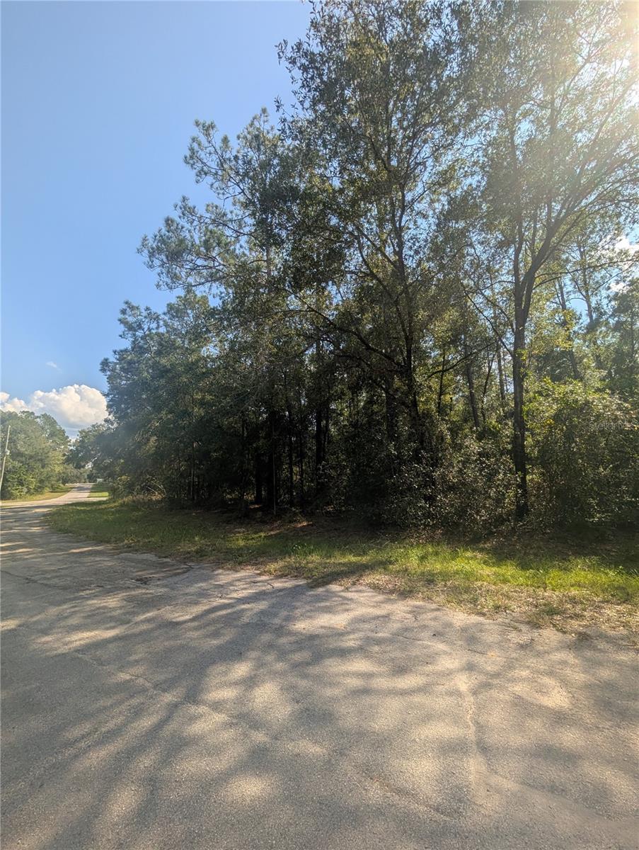 10484 N Holcomb Dr Property Photo 2