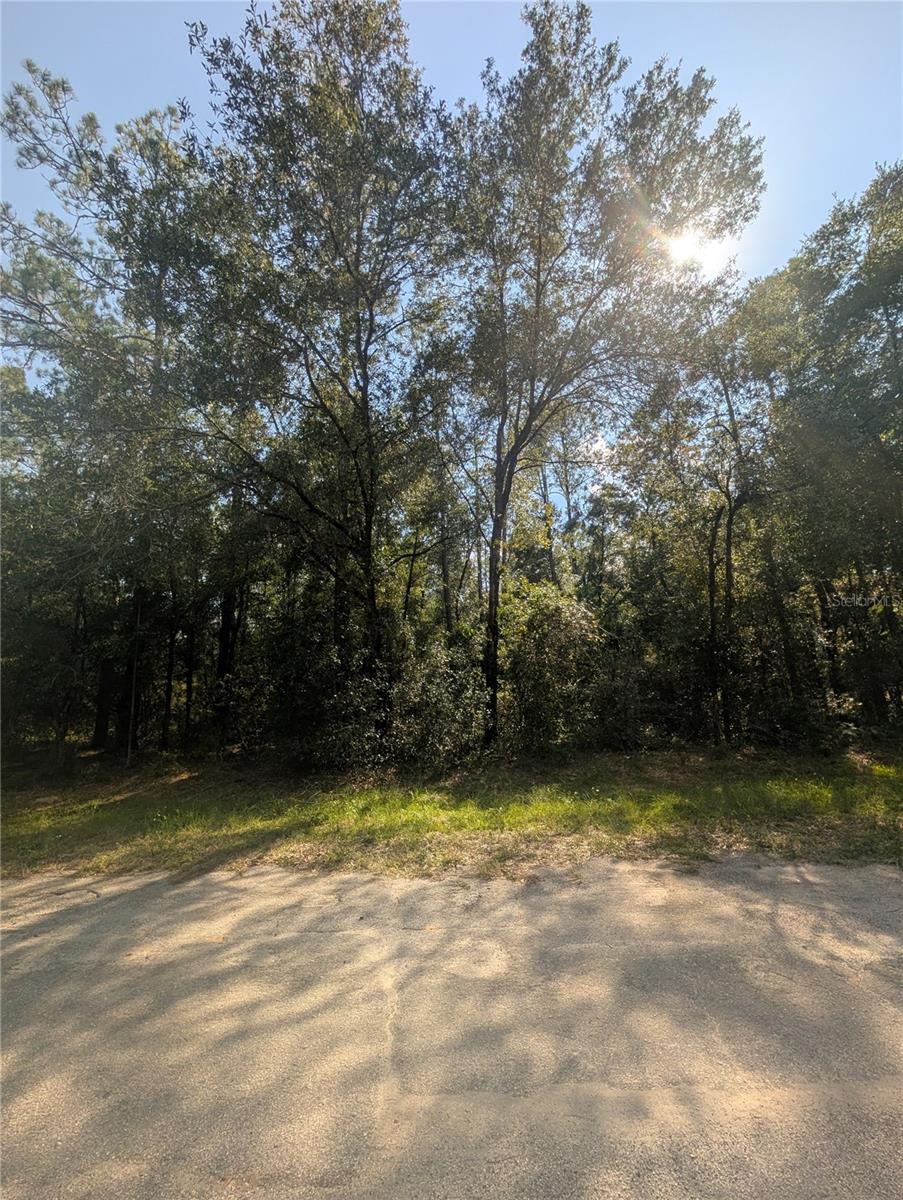 10484 N Holcomb Dr Property Photo 3