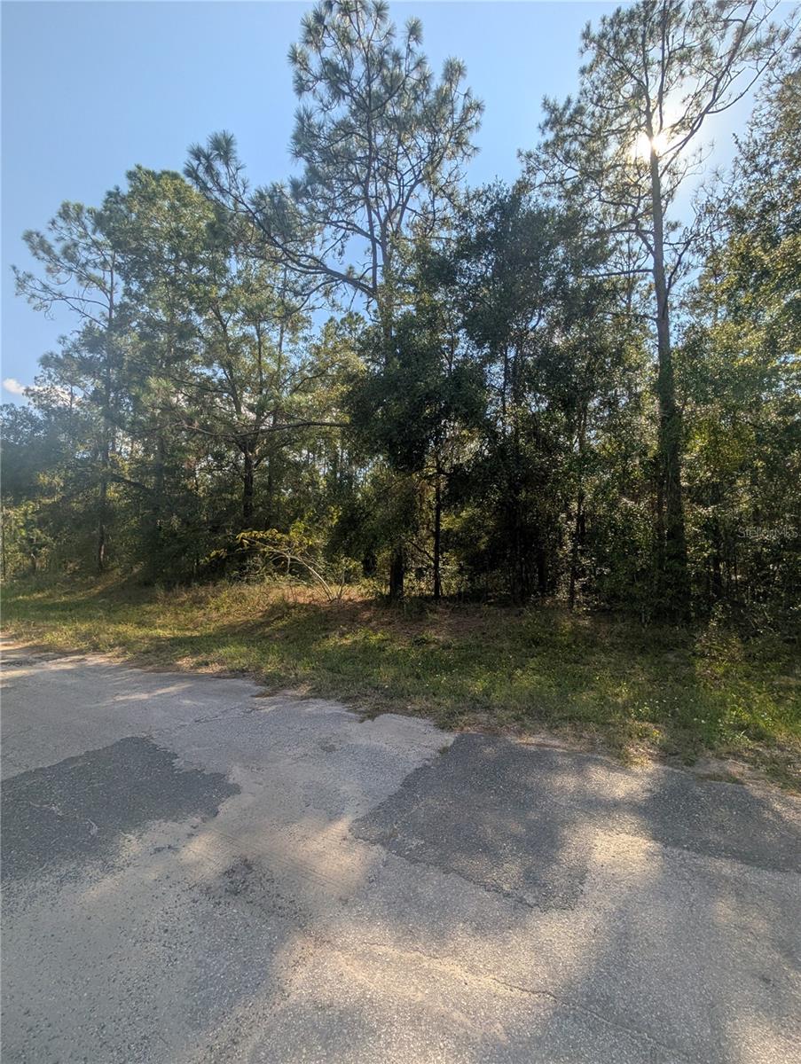 10484 N Holcomb Dr Property Photo 4