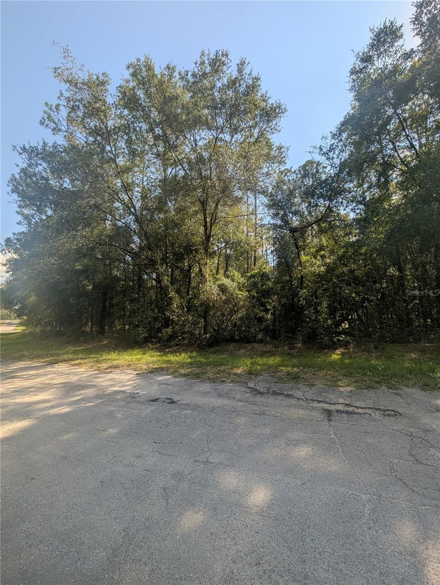 10484 N Holcomb Dr Property Photo 7