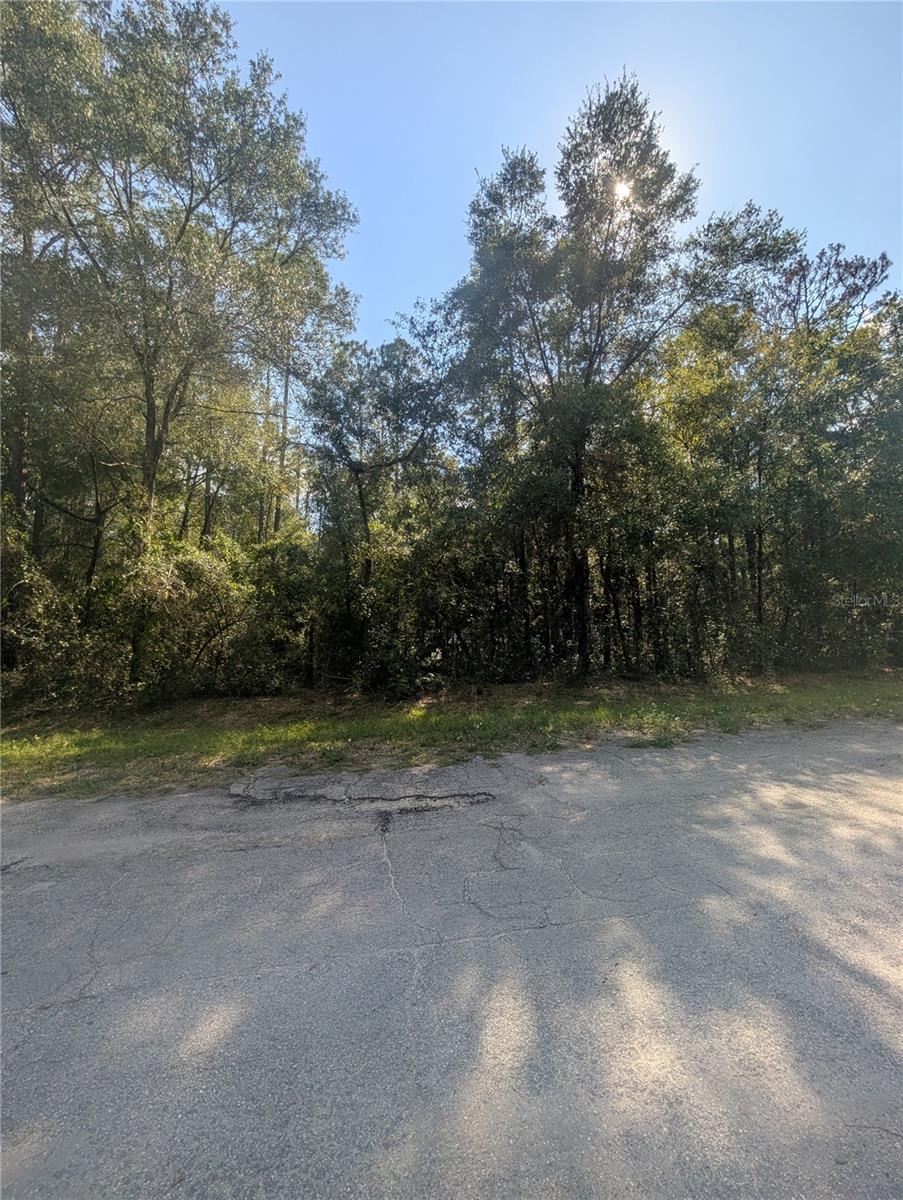 10484 N Holcomb Dr Property Photo 8