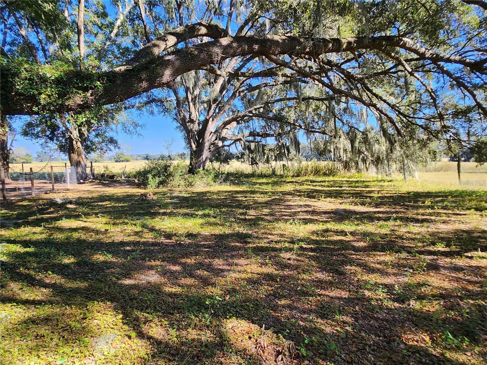 Tbd Sw 175 Ct Property Photo 16