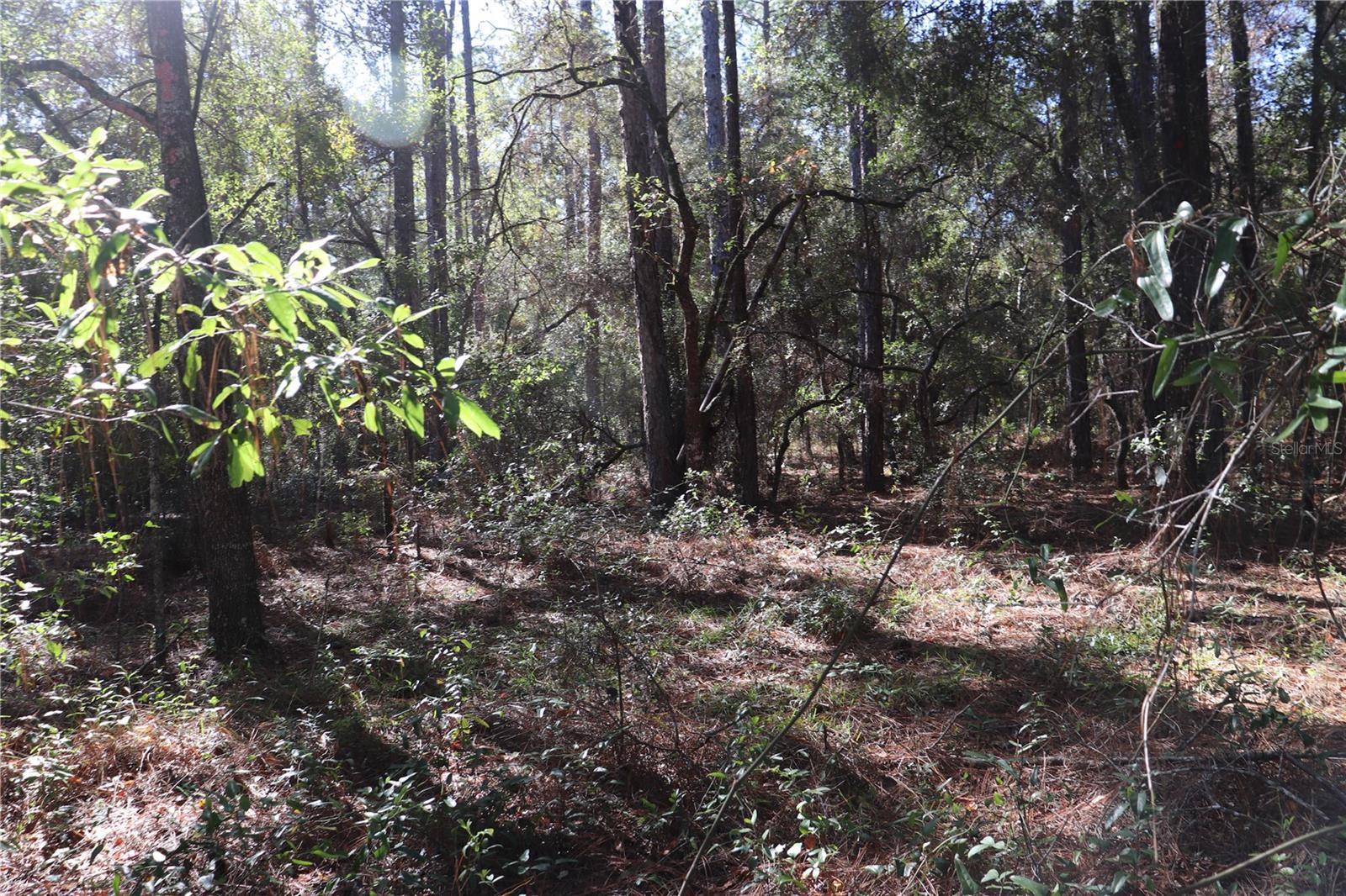 00 SW 39 ST Property Photo 1
