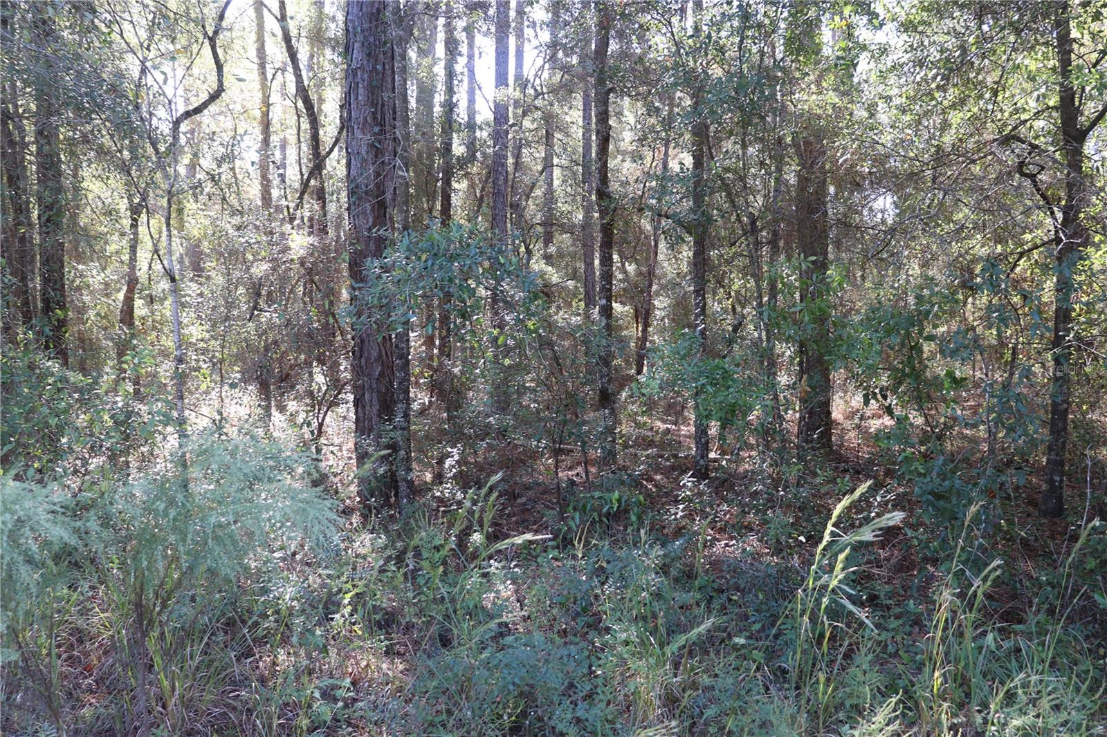00 Sw 39 St Property Photo 2