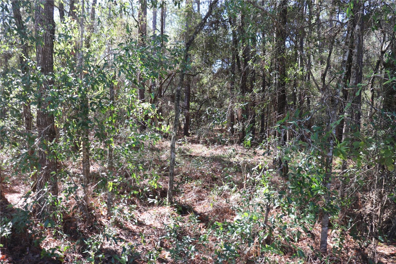 00 Sw 39 St Property Photo 3