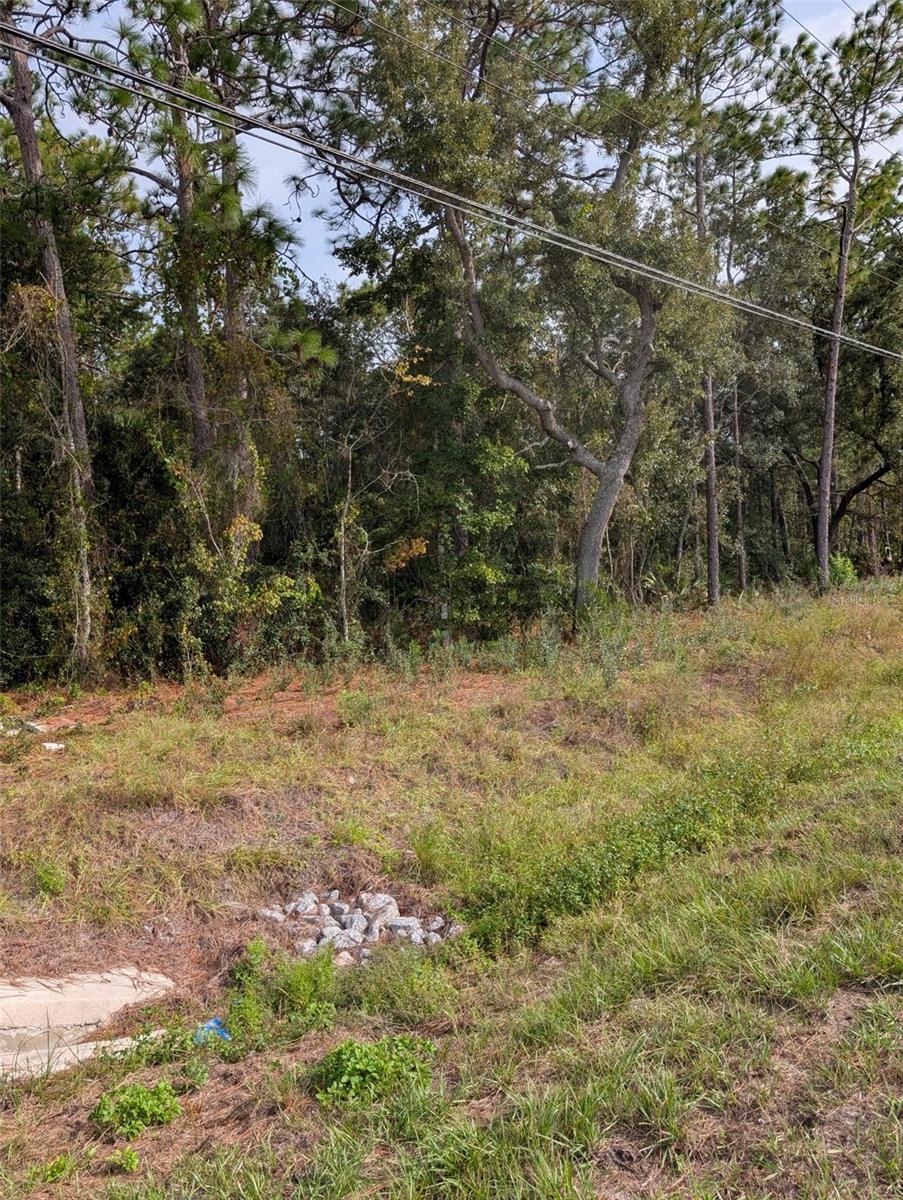 9115 S Suncoast Blvd Property Photo 3