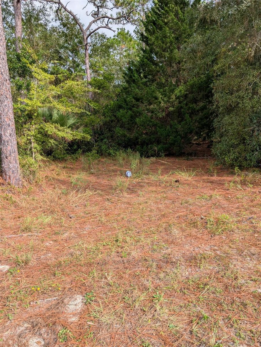 9115 S Suncoast Blvd Property Photo 4